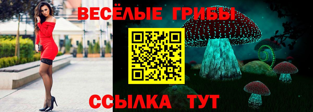 Псилоцибиновые грибы Cubensis Черкесск
